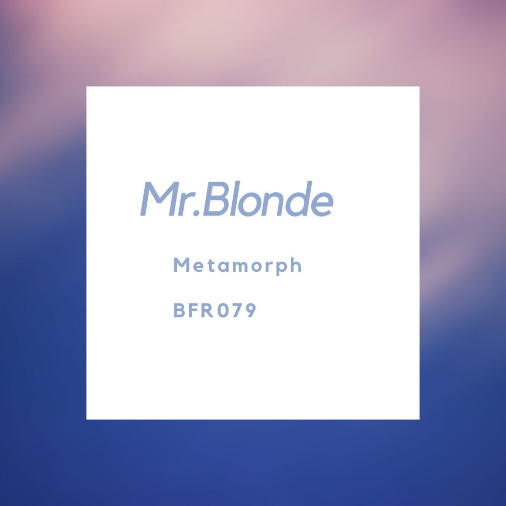 Picture of Mr.Blonde