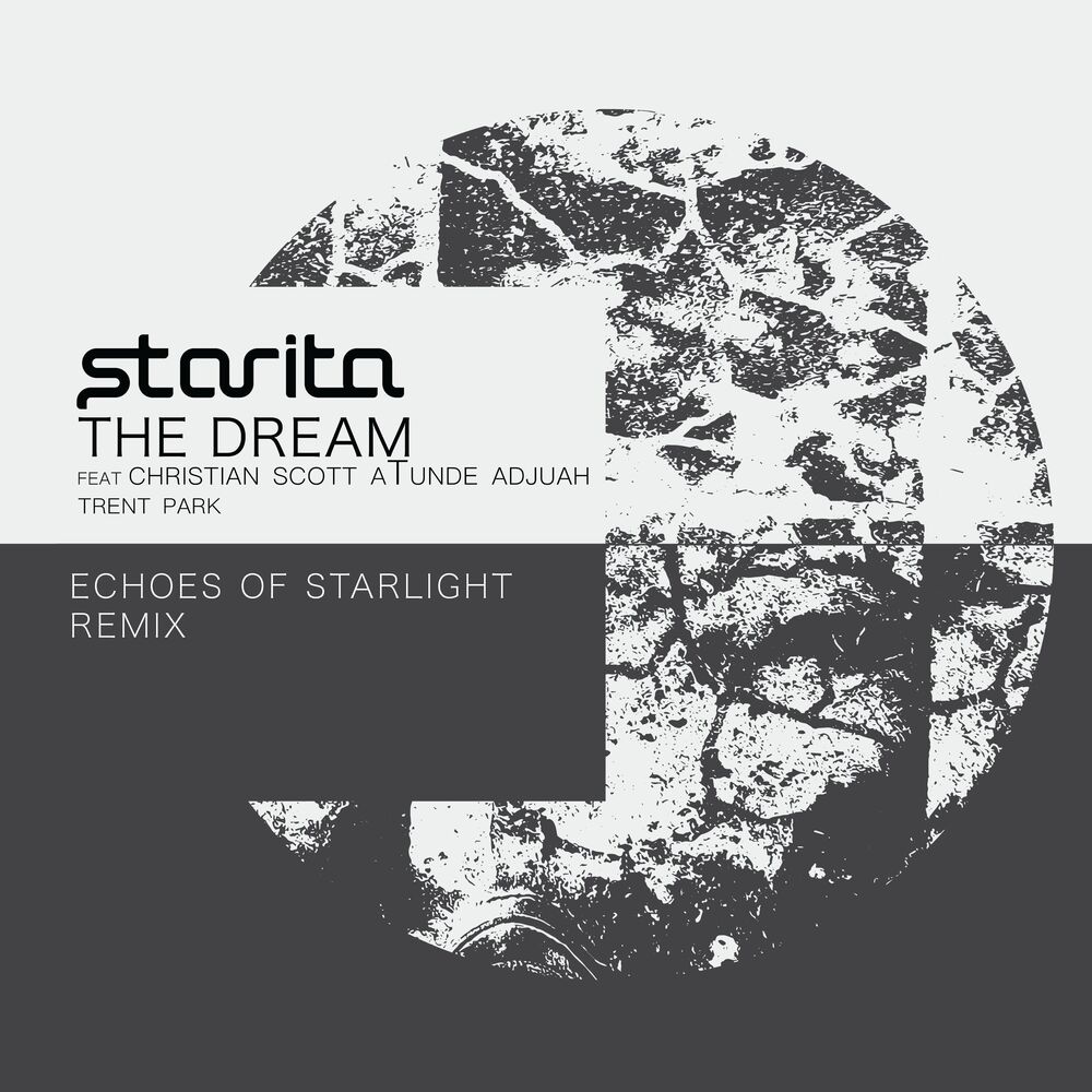 Picture of The Dream (Echoes Of Starlight Remix)