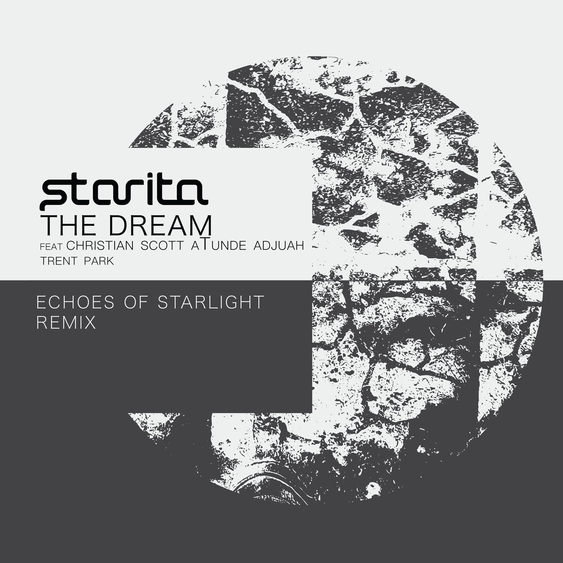 Album cover of The Dream (Echoes Of Starlight Remix)
