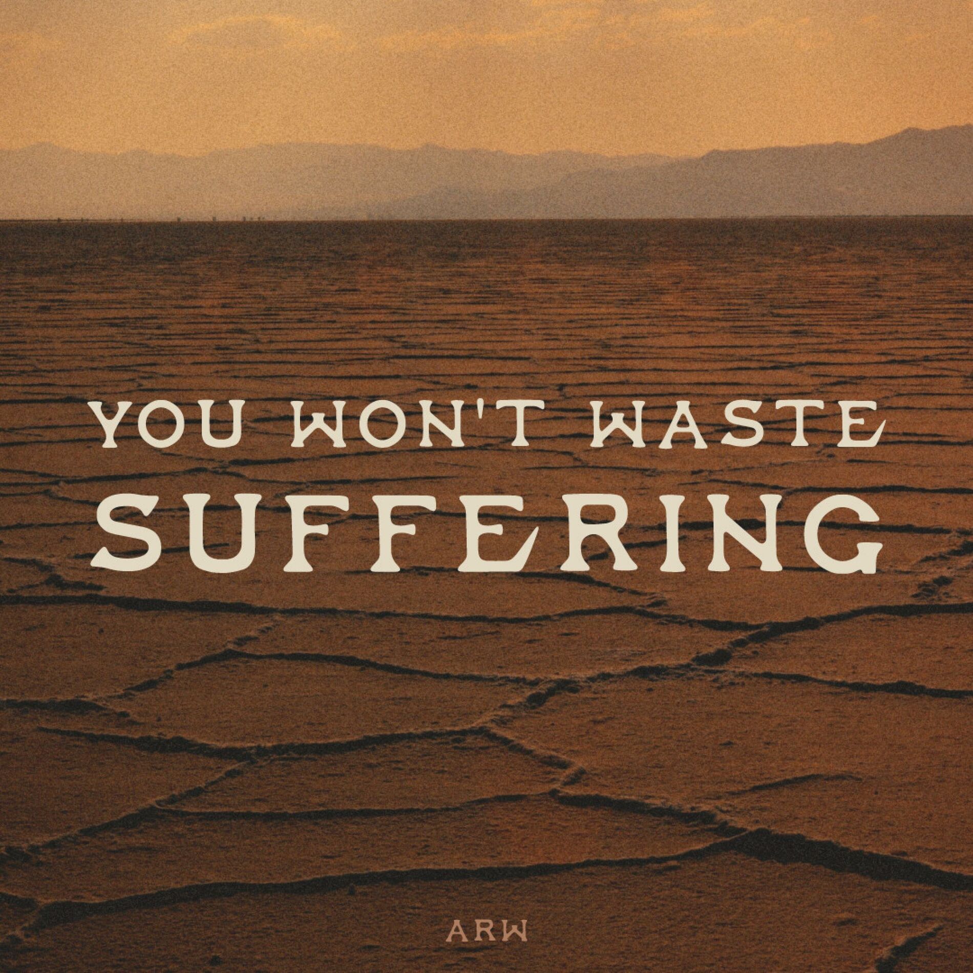 Album cover of You Won't Waste Suffering