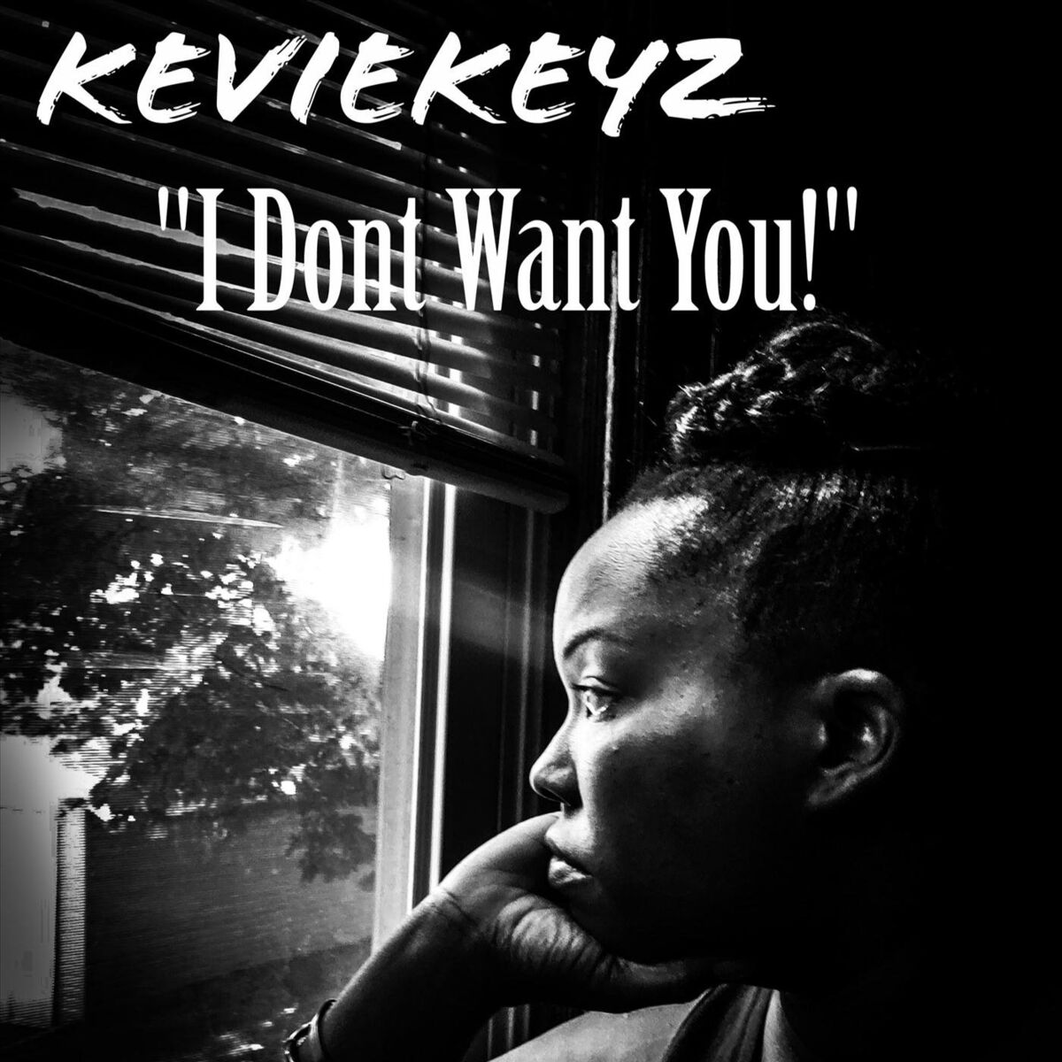 Album cover of I Dont Want You