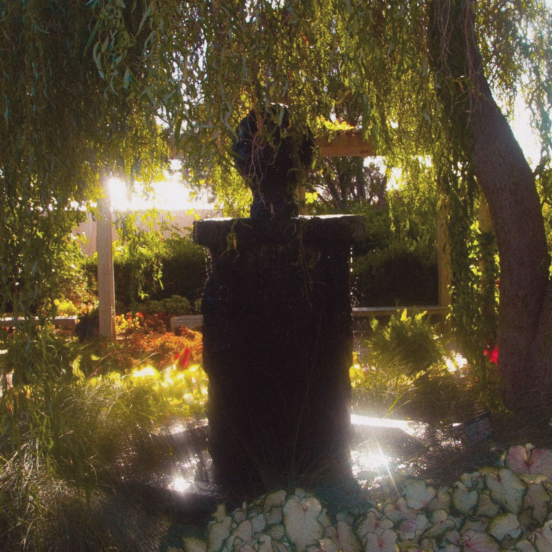 Album cover of bliss