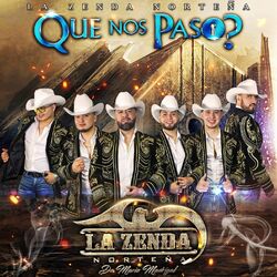 Cover of Que Nos Paso?