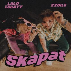 Cover of Skapat