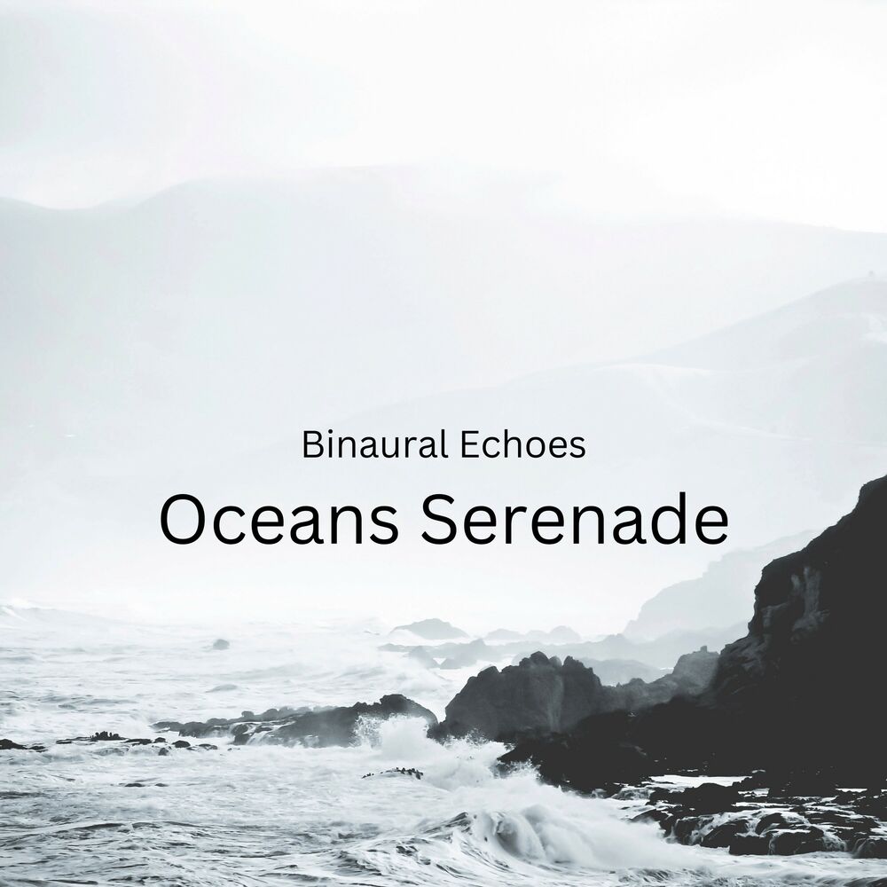 Picture of Binaural Echoes: Oceans Serenade