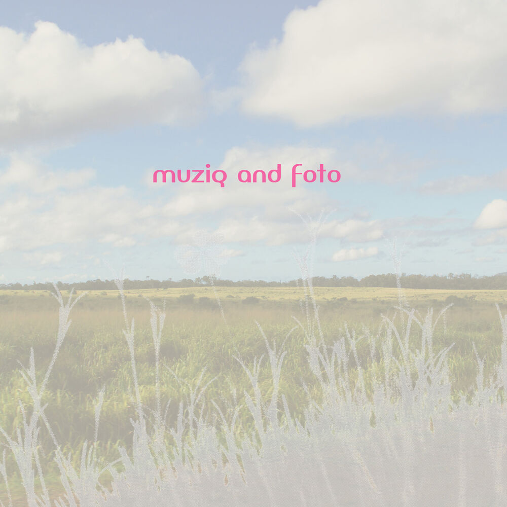 Picture of Muziq And Foto