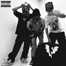 Cover of Mr.Plug