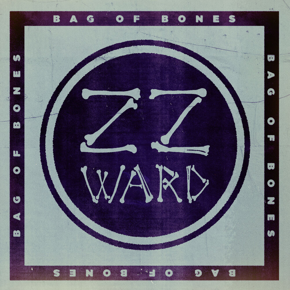 Picture of Bag of Bones (Fan Version)