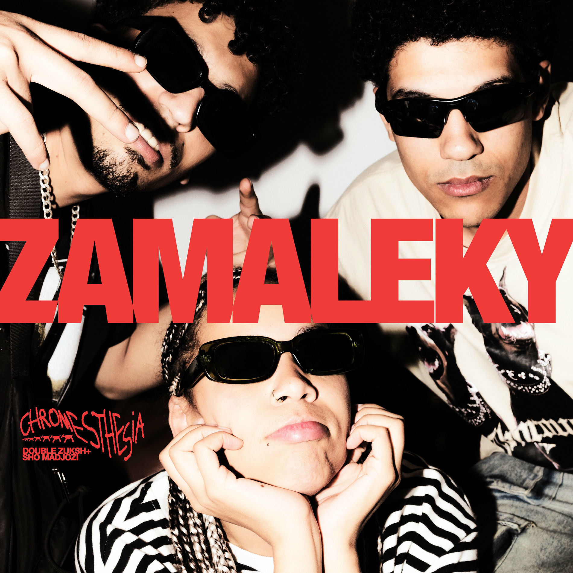 Album cover of Zamaleky