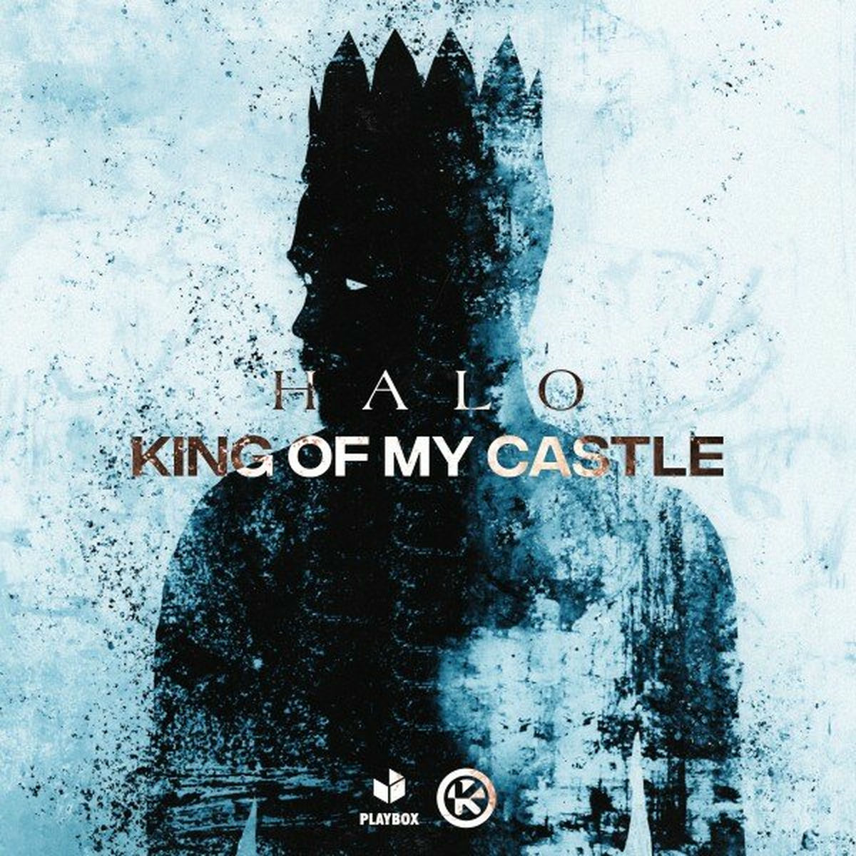 Album cover of King of My Castle