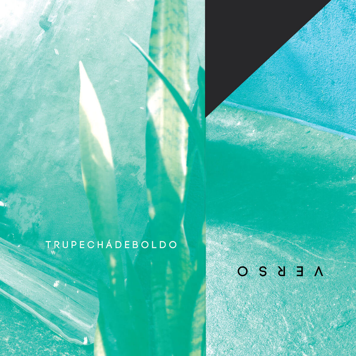 Album cover of Verso