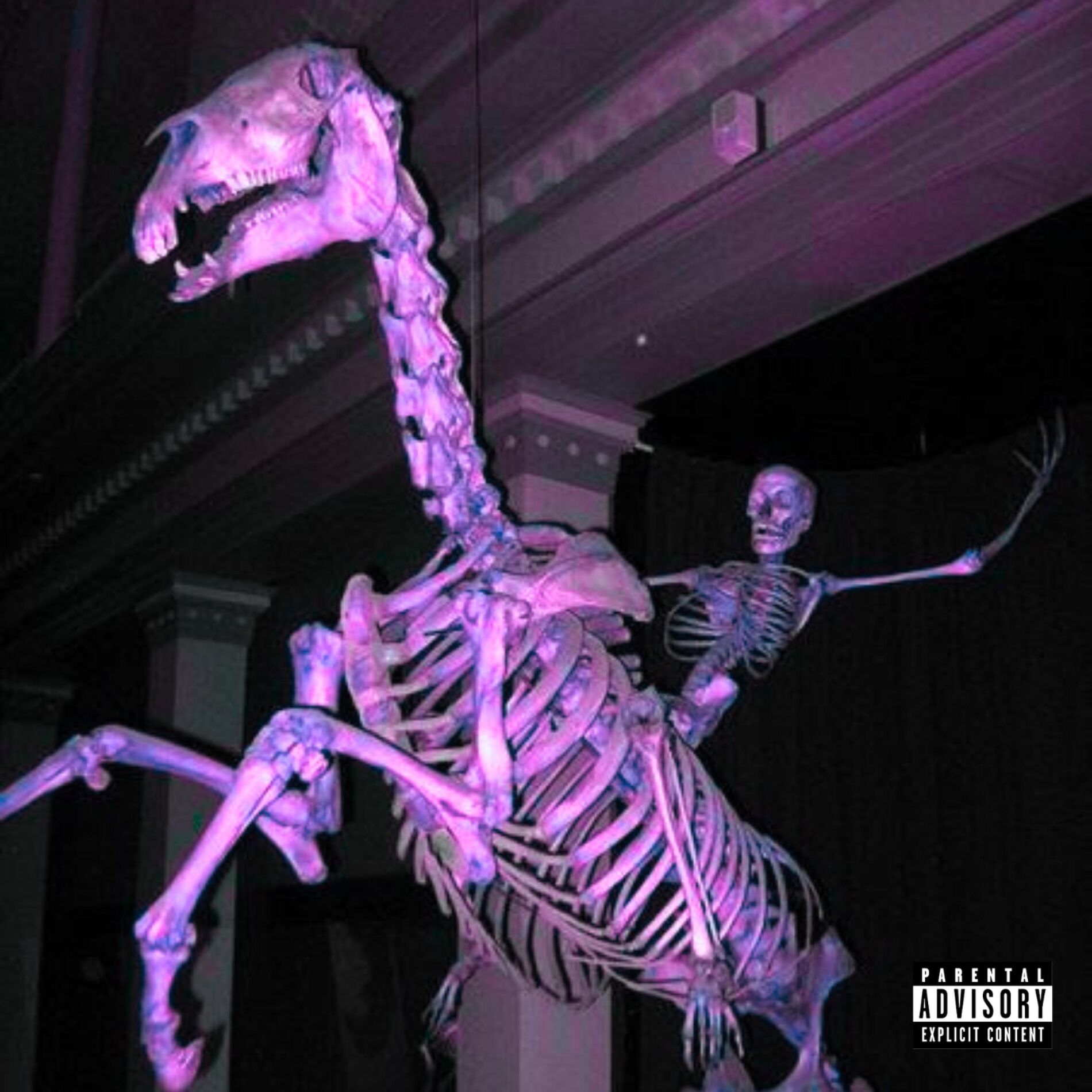 Album cover of Puerto Rico (feat. Gary, MixxDawg & Xavyen)