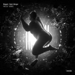 Cover of False Gods EP