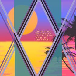 Cover of Night in the Moon