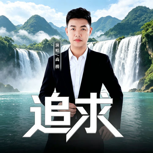追求 (Dj版)