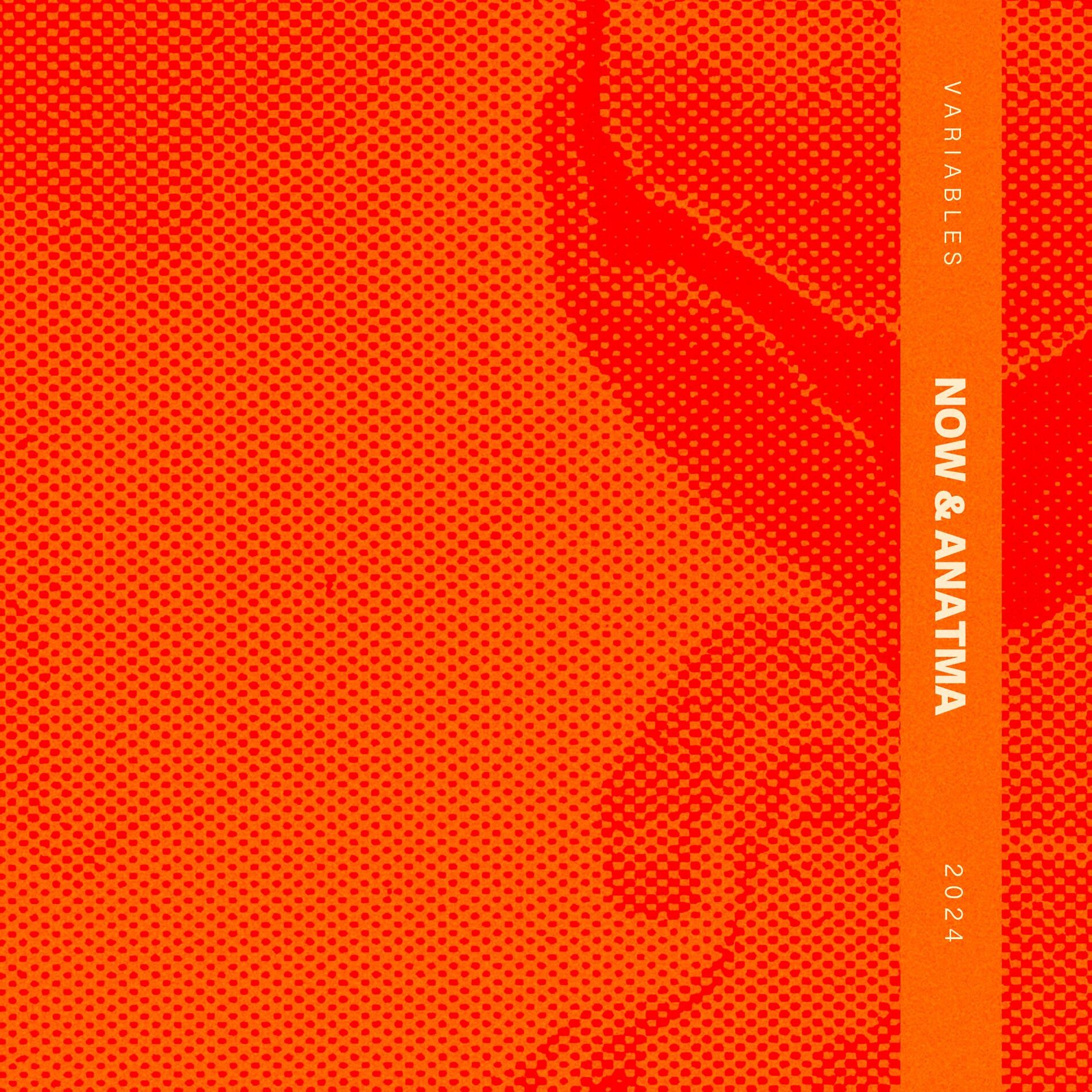 Album cover of Variables
