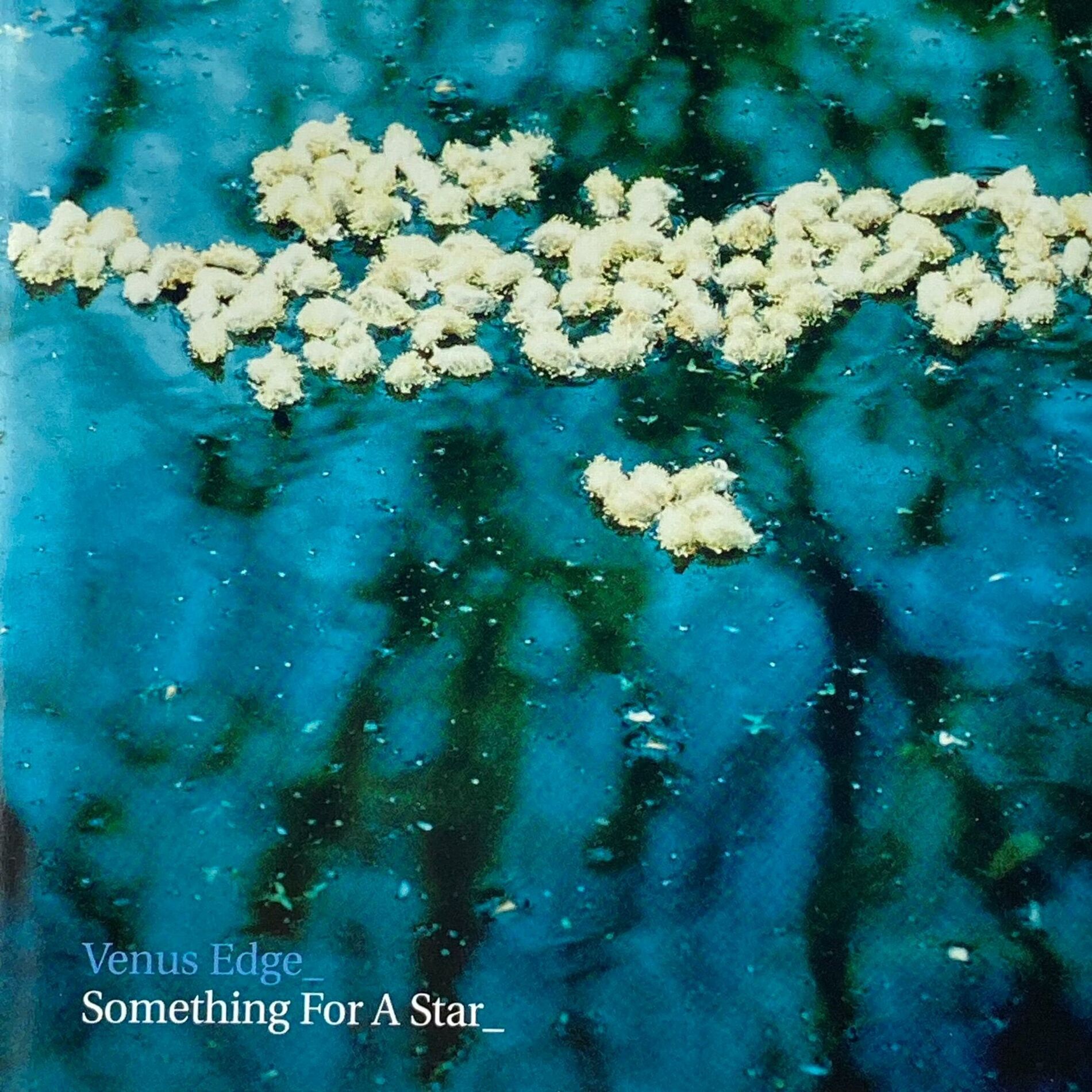Album cover of Something For A Star