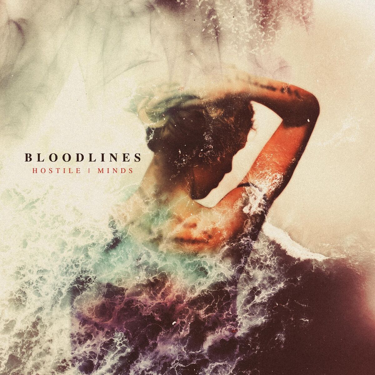 Album cover of Hostile | Minds