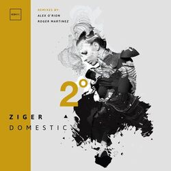 Cover of Domestic