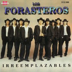 Cover of Irreemplazables