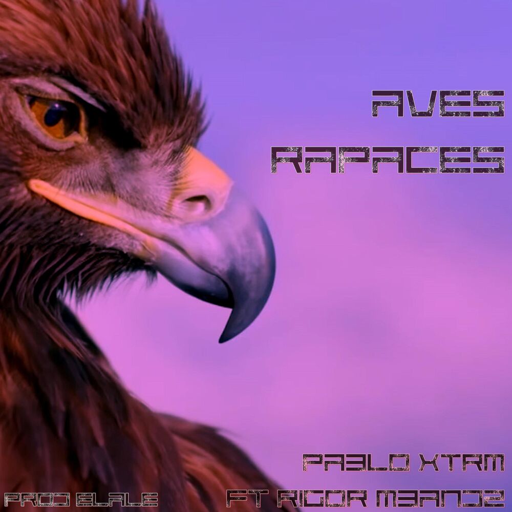 Picture of Aves Rapaces (feat. Rigor Mbandz)