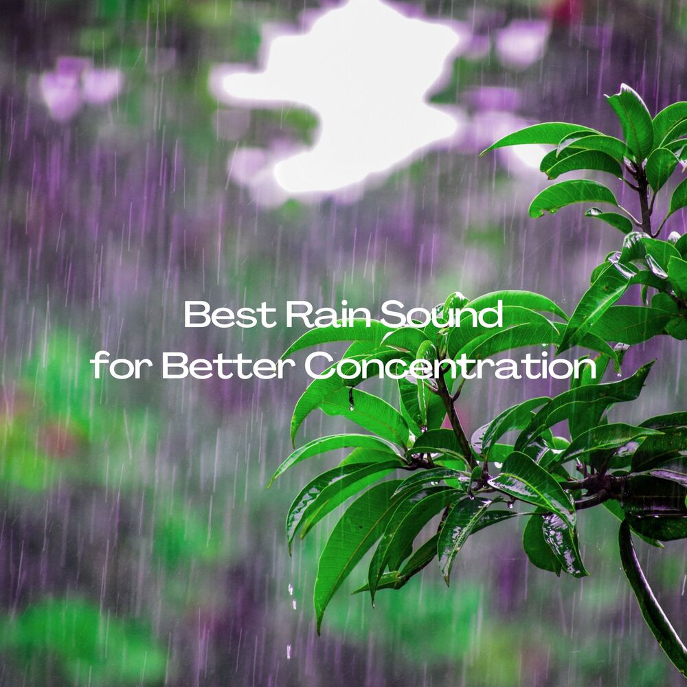 Picture of Best Rain Sound for Better Concentration
