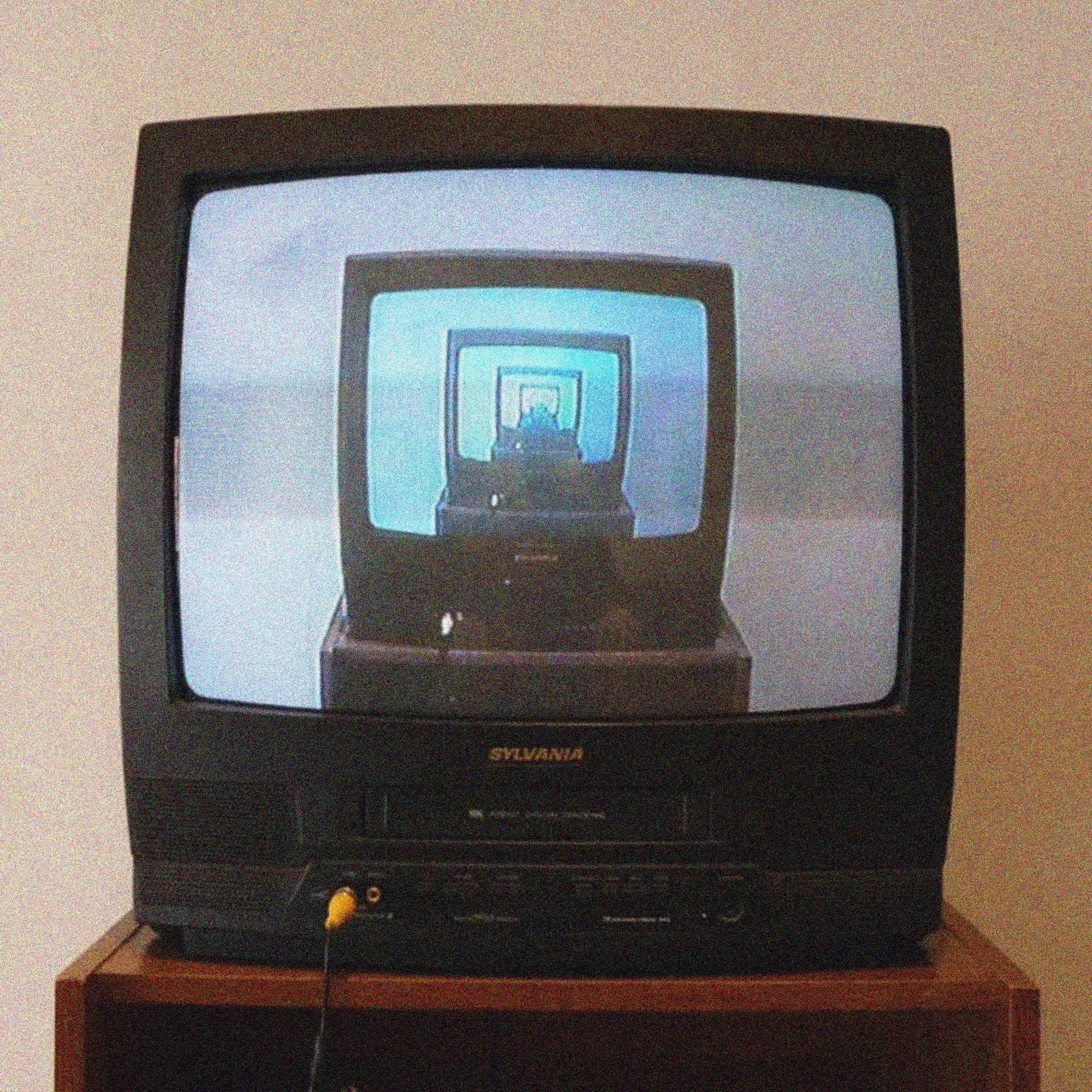 Album cover of The Lobotomy
