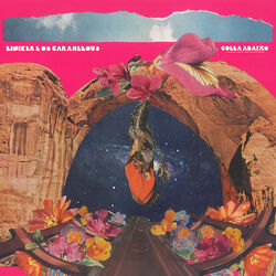 Cover of Goela Abaixo