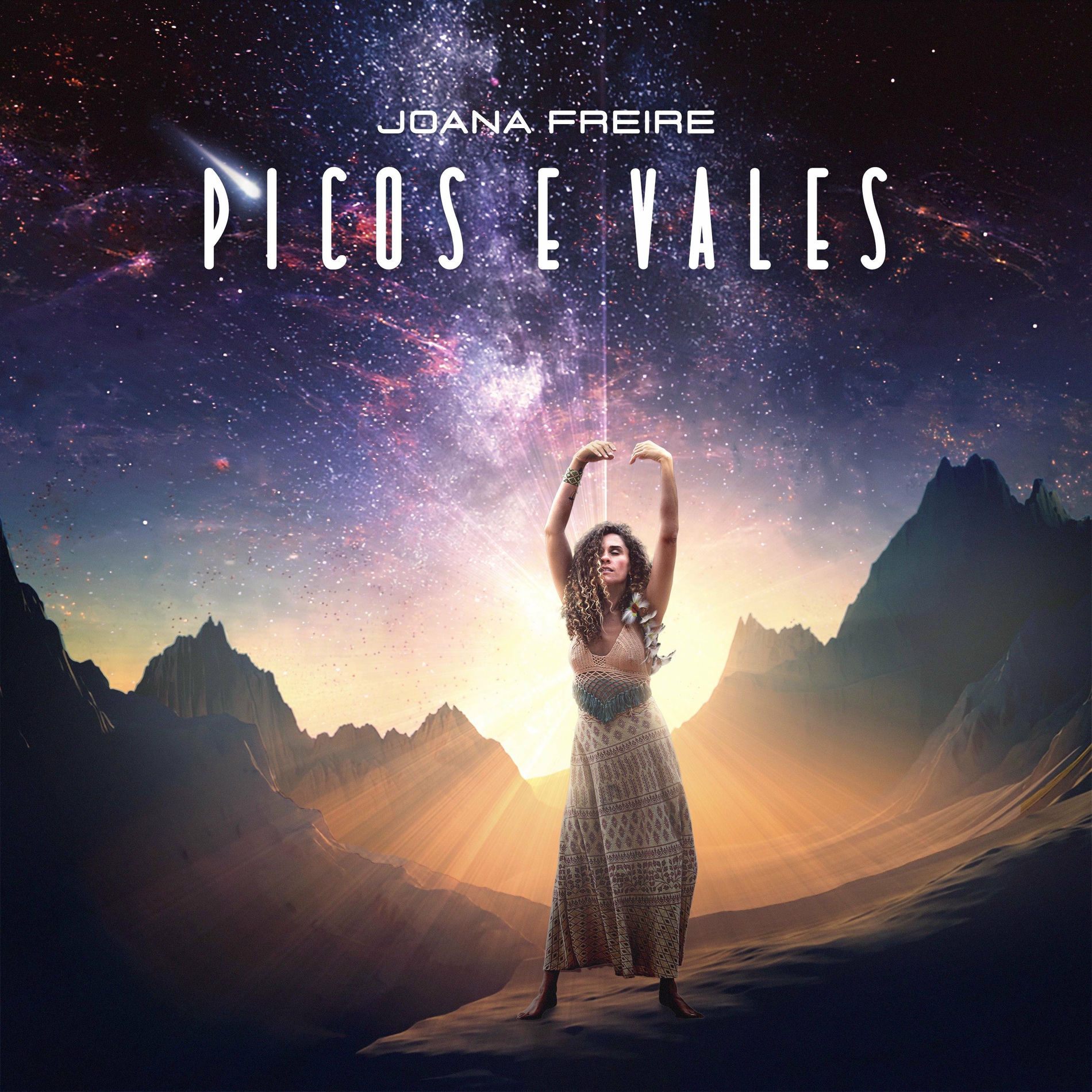 Album cover of Picos e Vales