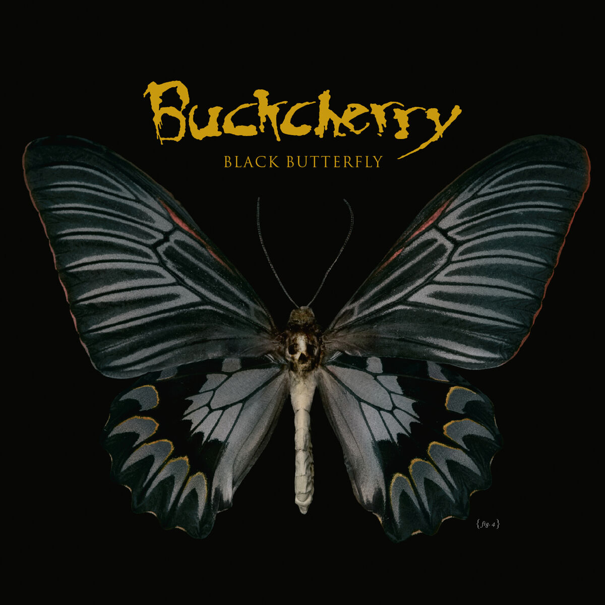 Album cover of Highway Star
