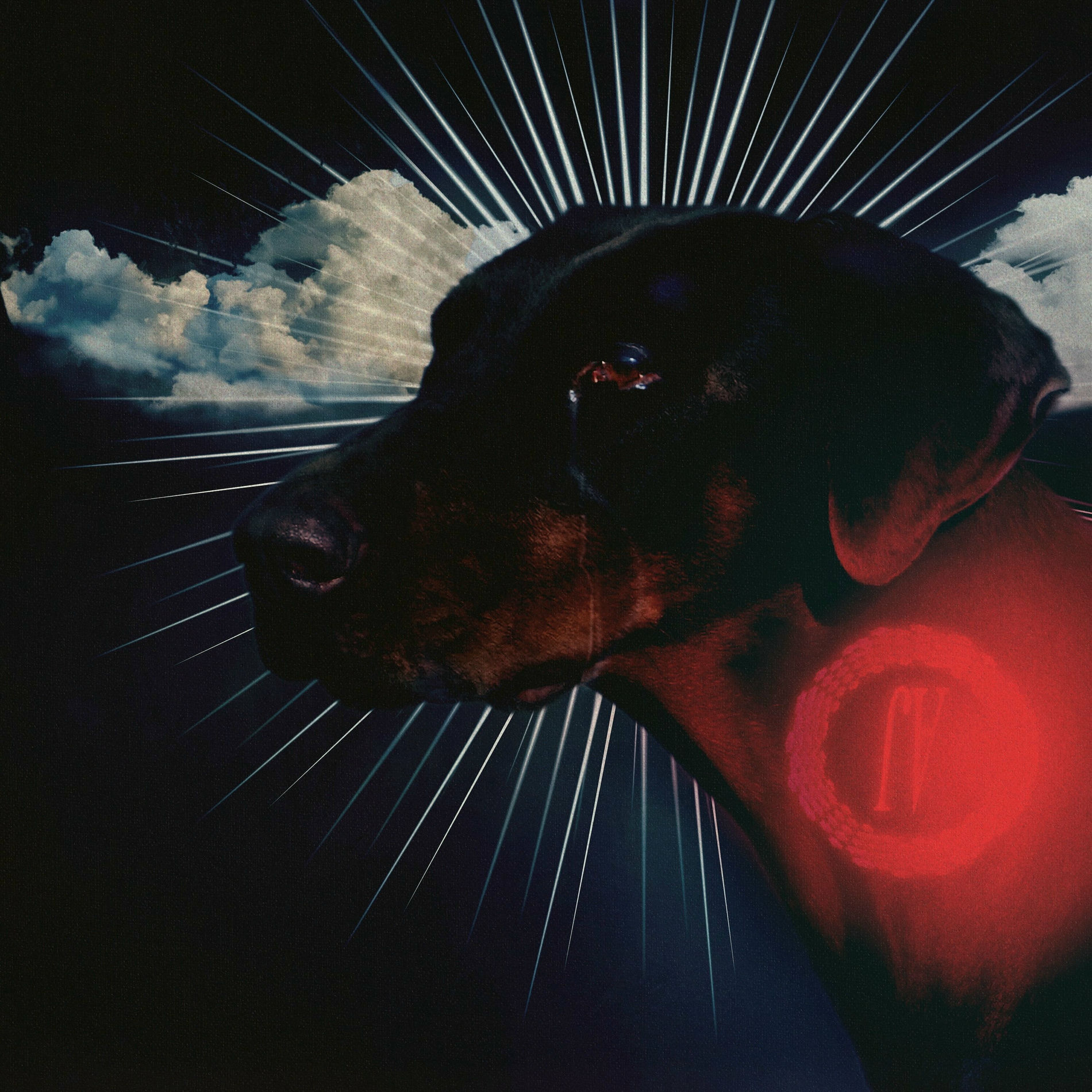 Album cover of Irregular
