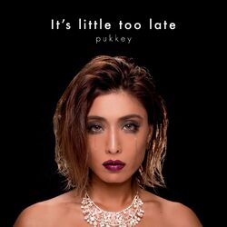 Cover of It's little too late