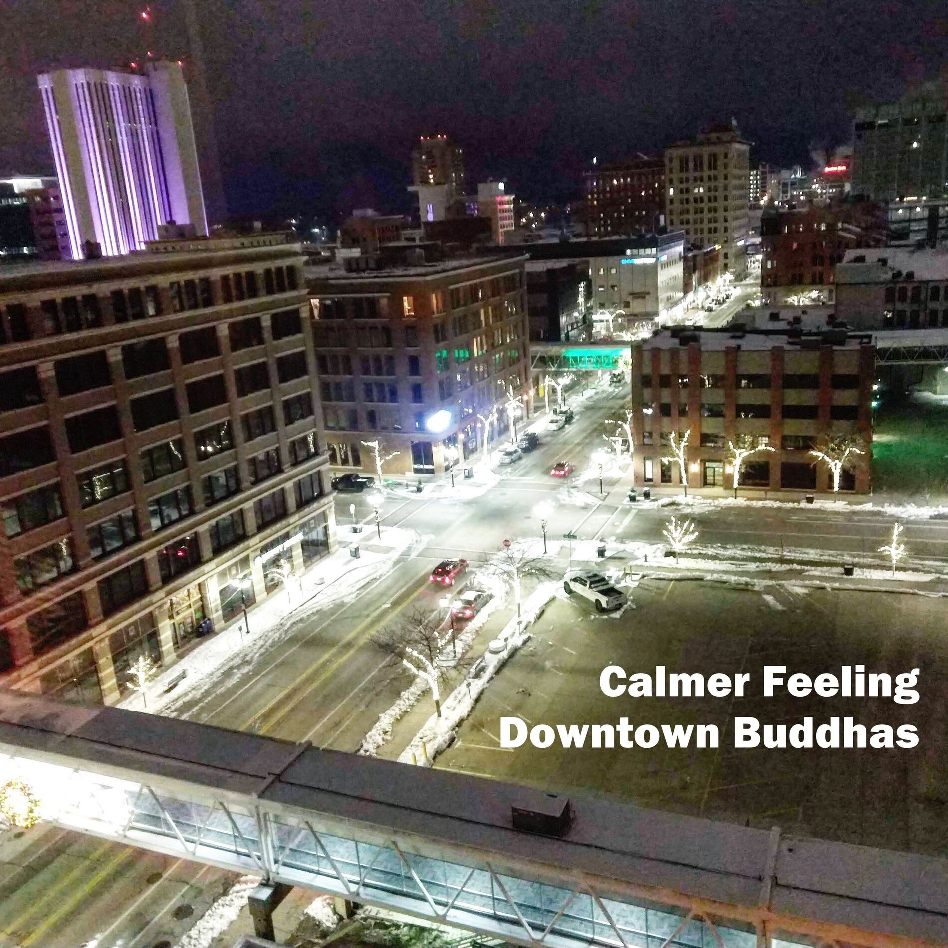 Album cover of Downtown Buddhas
