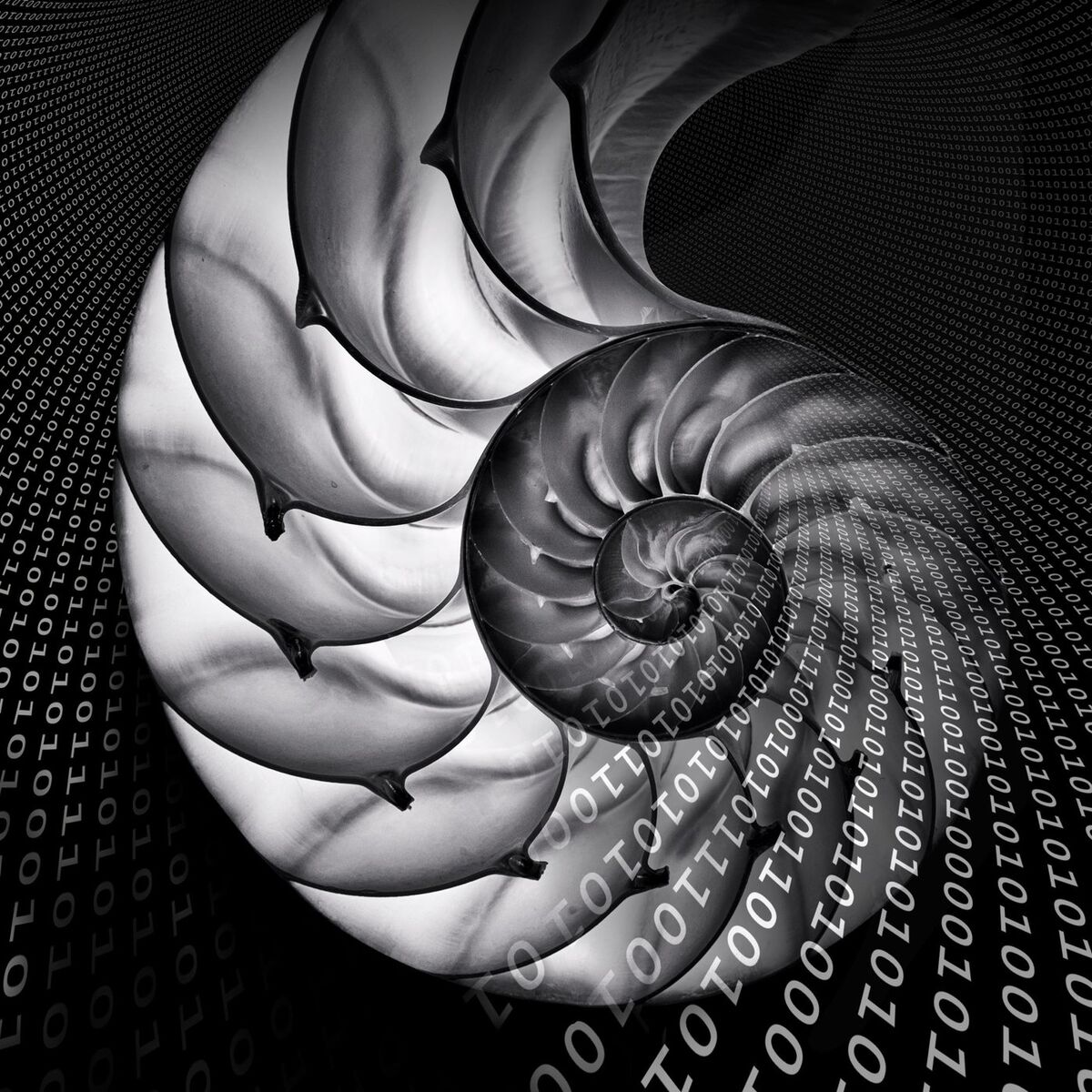 Album cover of 0001