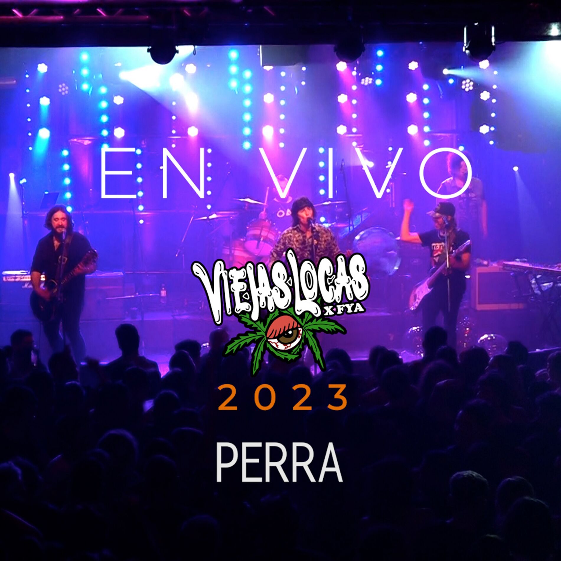 Album cover of Perra (En Vivo)