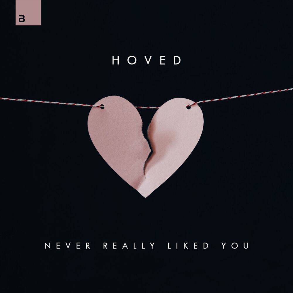 Picture of Never Really Liked You