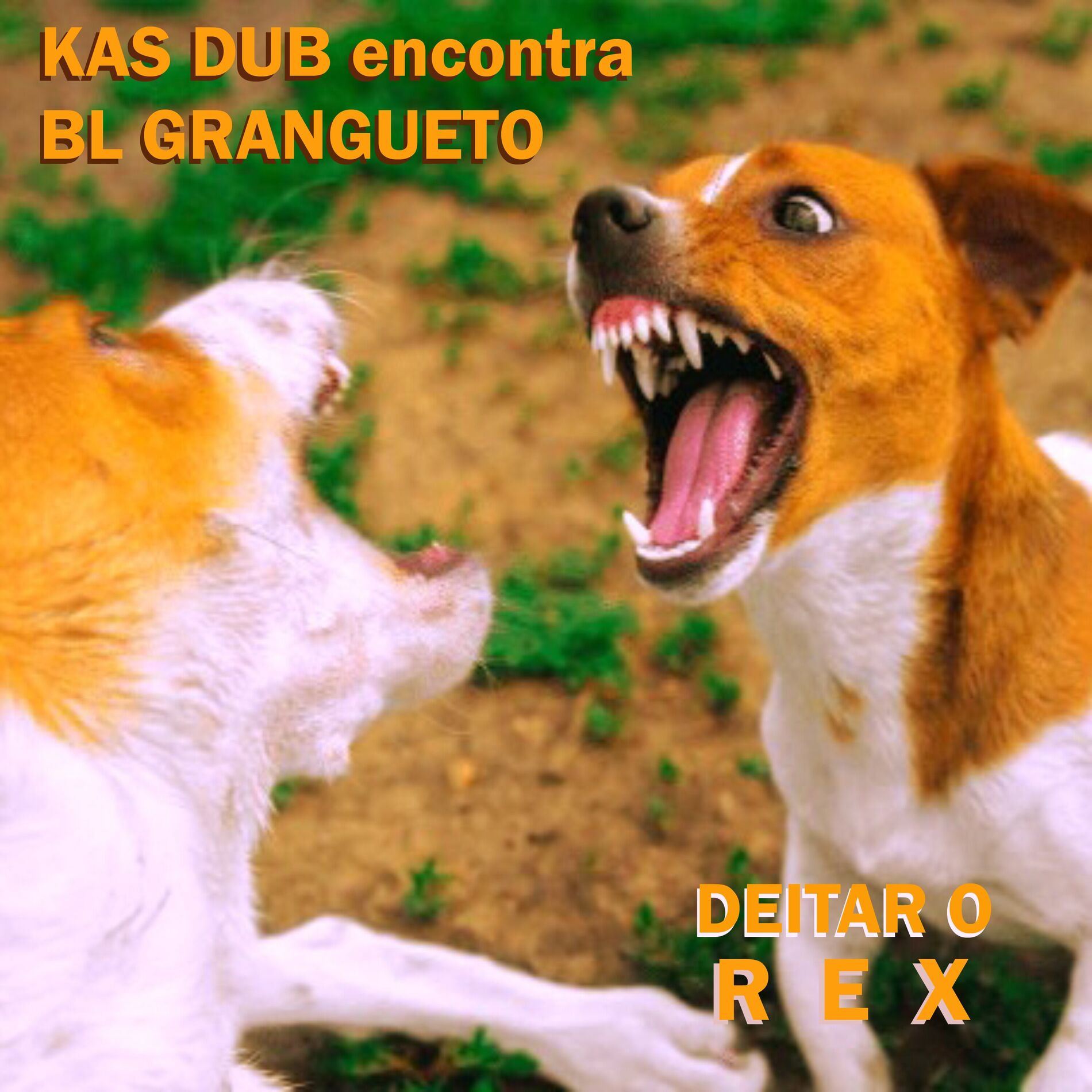 Album cover of Deitar o Rex