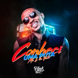 Cover of Conheci uma Puta