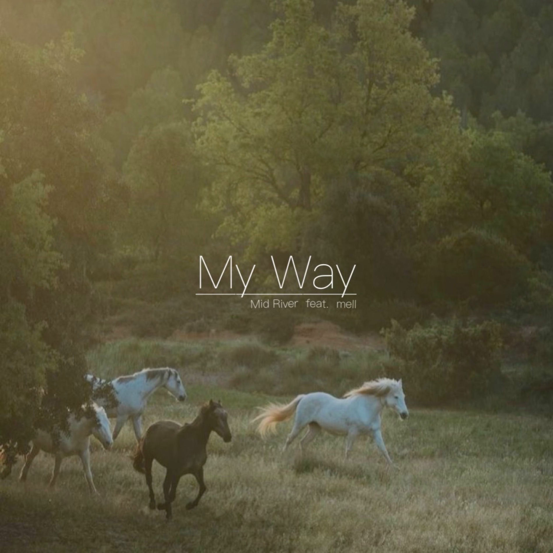 Album cover of MY WAY (feat. mell)