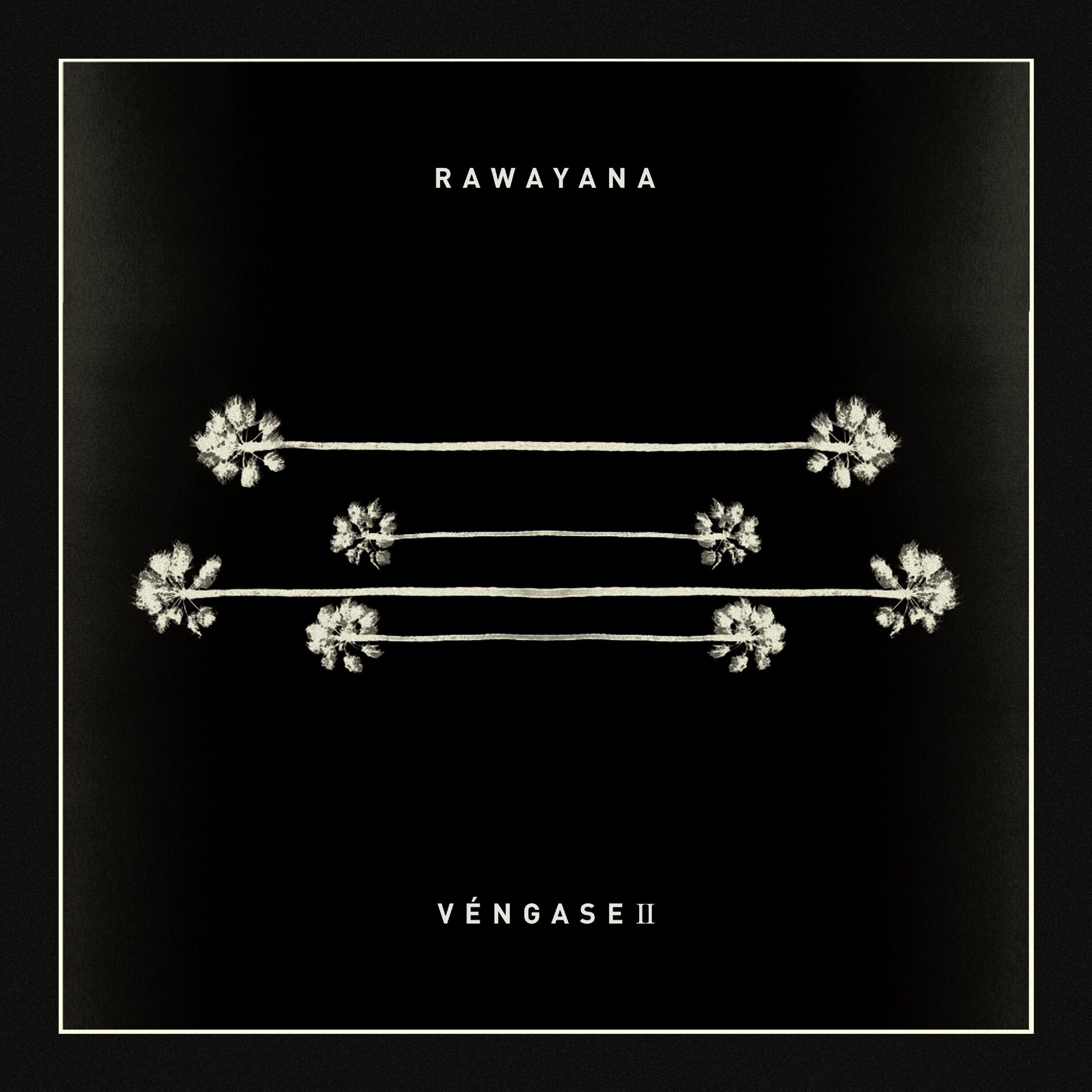 Album cover of Véngase II