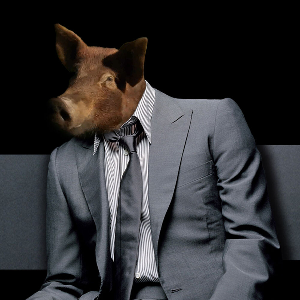 Picture of SIKA