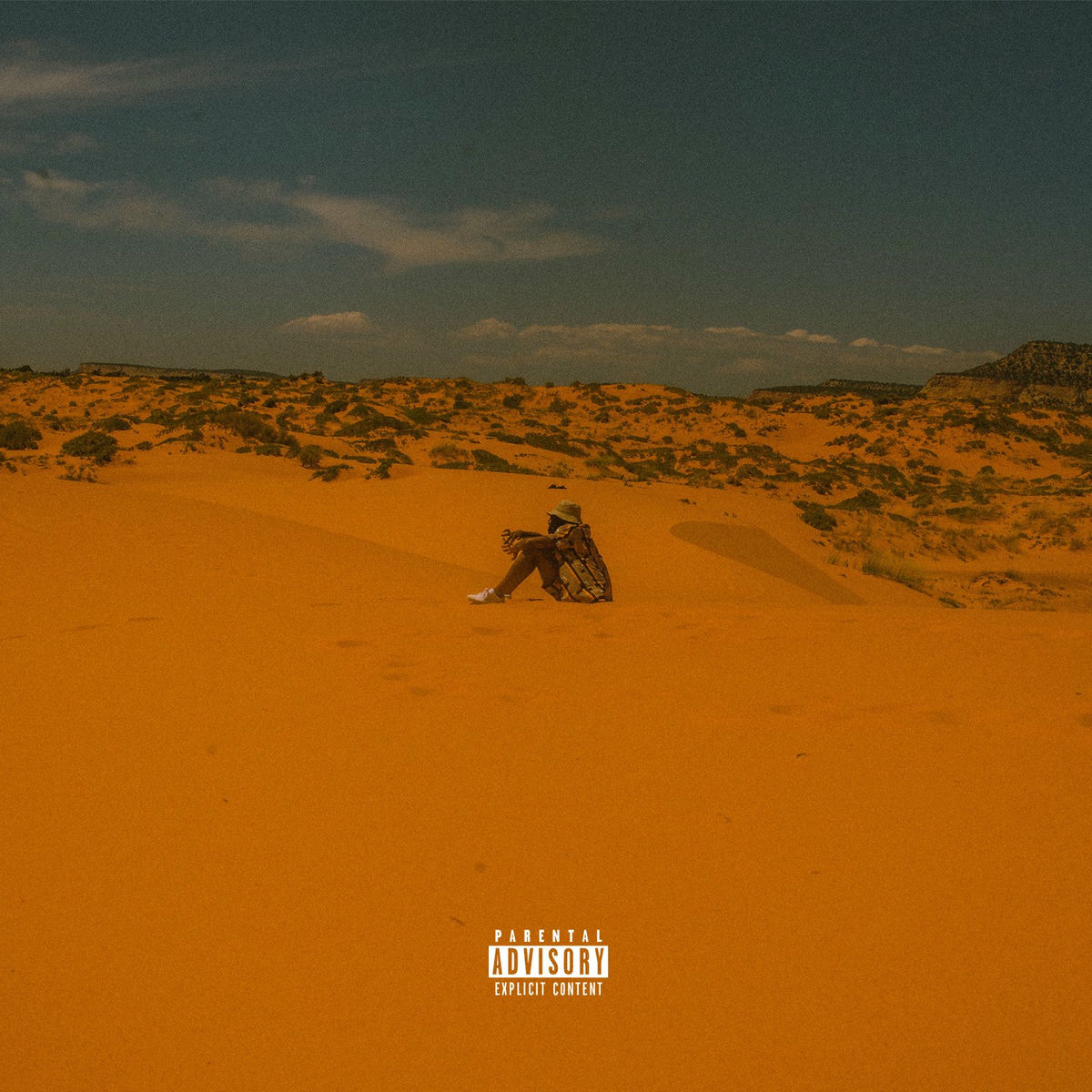 Album cover of Maintain