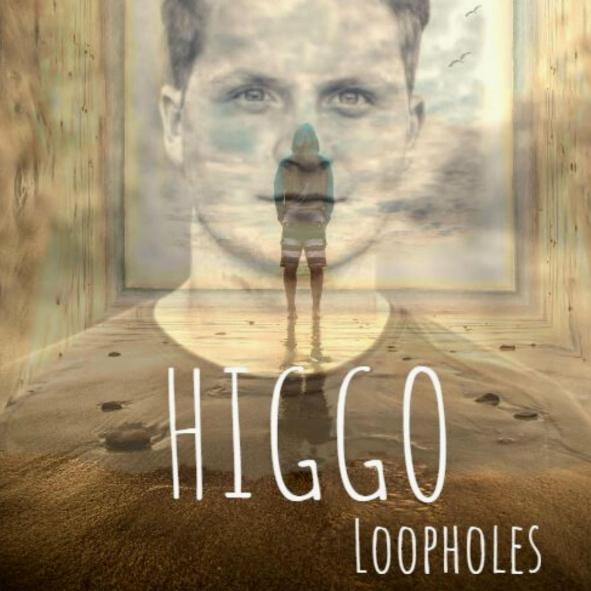 Album cover of Loopholes