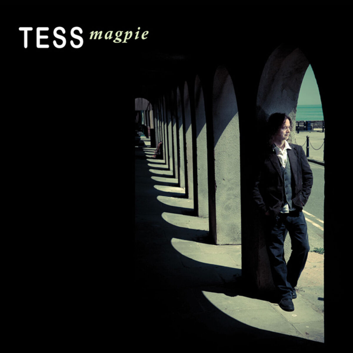 Album cover of Magpie