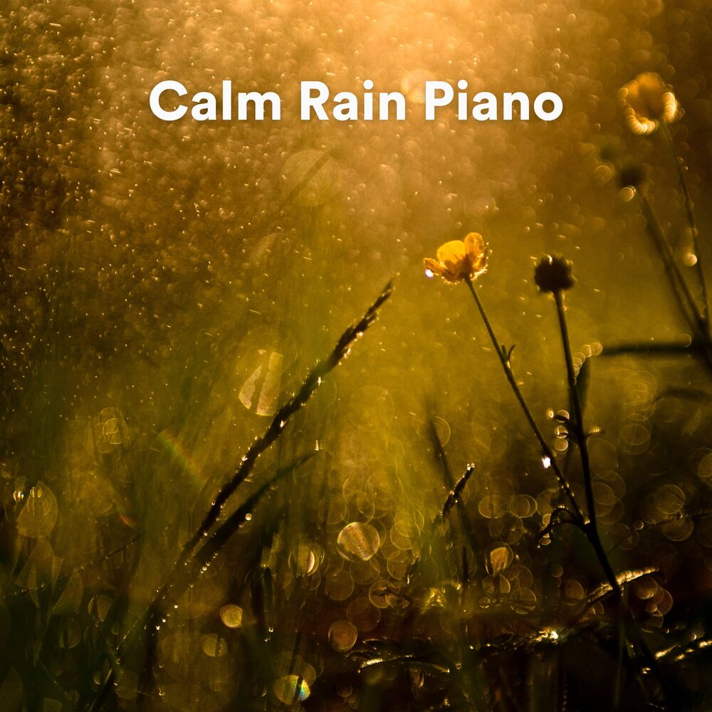 Picture of Calm Rain Piano (Rain and Piano Sounds for Sleep)