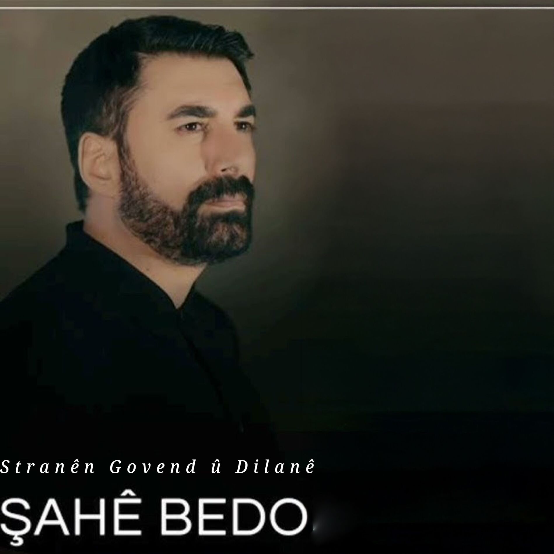 Album cover of Stranen Govend û Dilanê