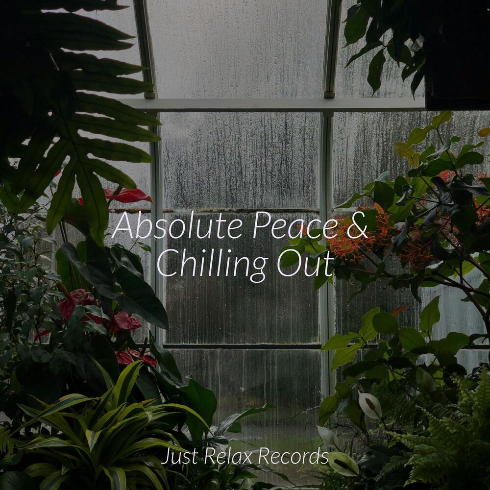 Picture of Absolute Peace & Chilling Out