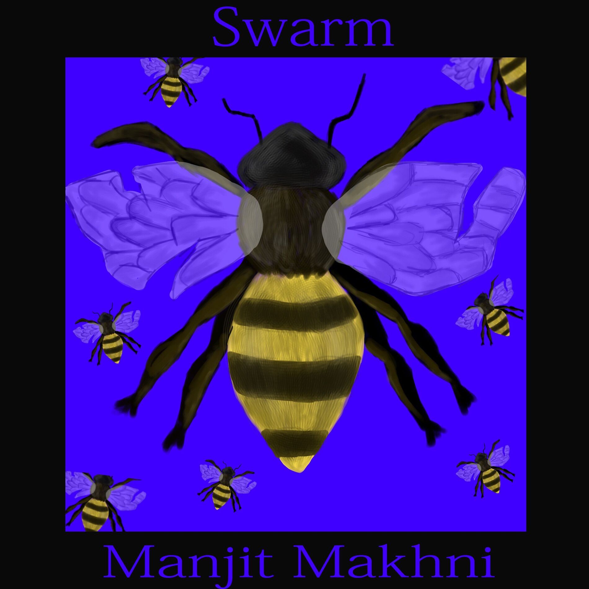 Album cover of Swarm