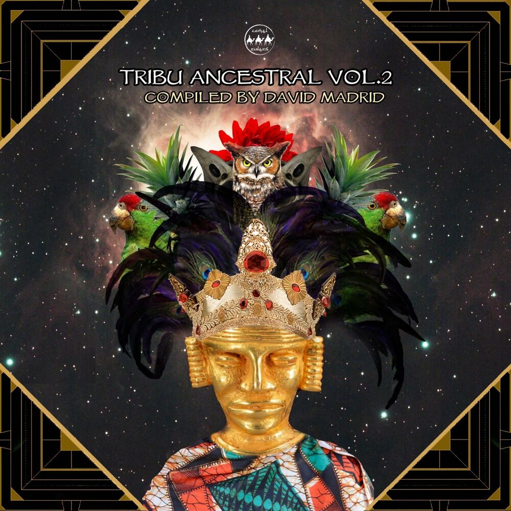 Picture of Tribu Ancestral, Vol. 2 (Compiled by David Madrid)