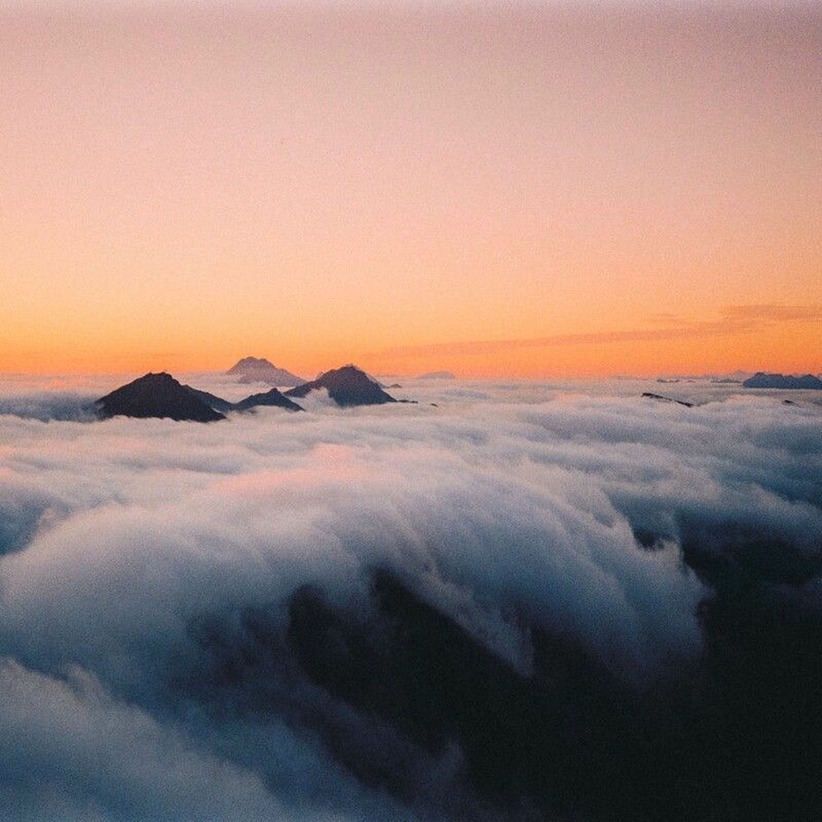 Album cover of Ta meg med